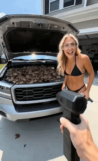 9.gif