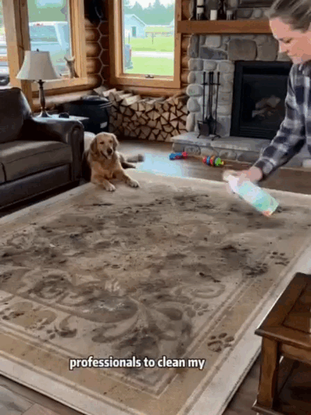 9.gif