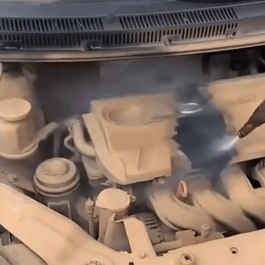 9.gif
