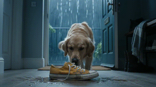 9.gif