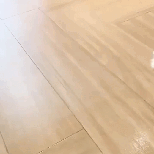 8.gif