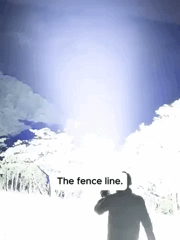 8.gif