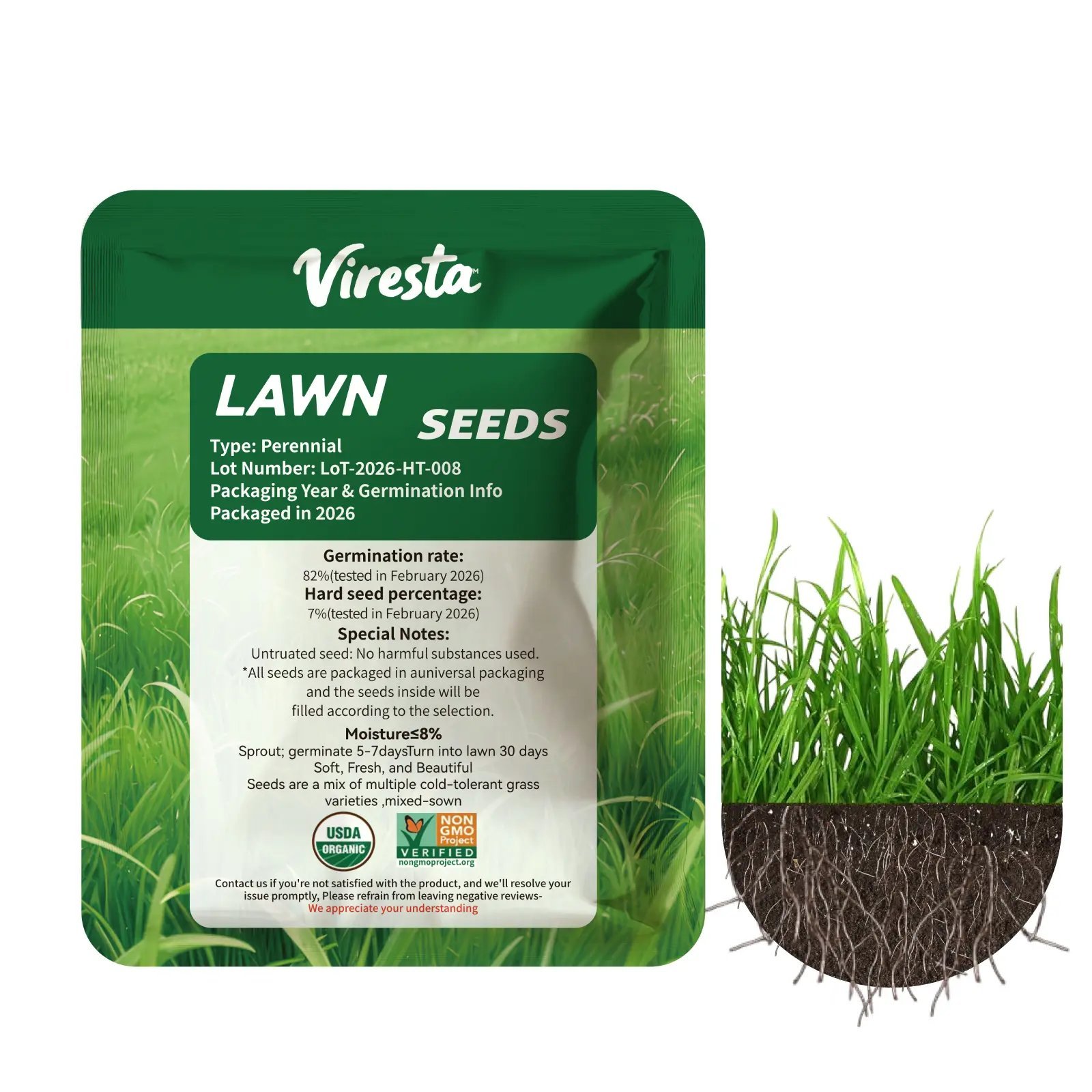 🌱2026 Evergreen Dwarf Grass Seed | For Four Seasons