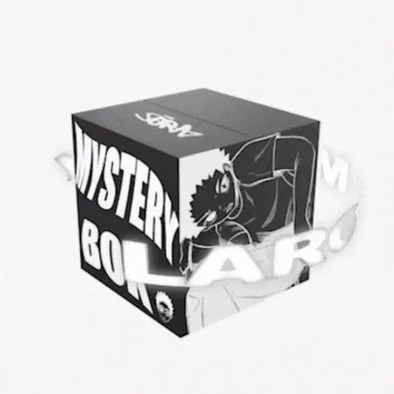 Small Mystery Box