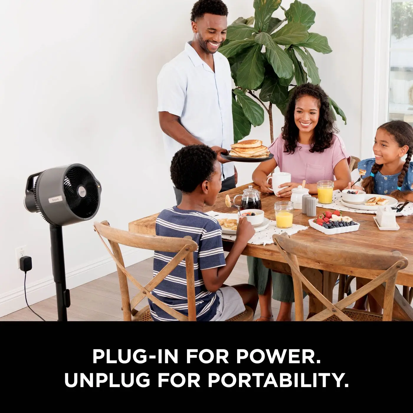 Portable fan with mist cooling