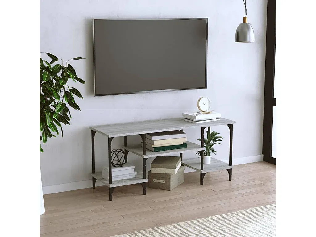 Moderner TV-Schrank in Grau Sonoma mit Stauraum-nestelivoa.com