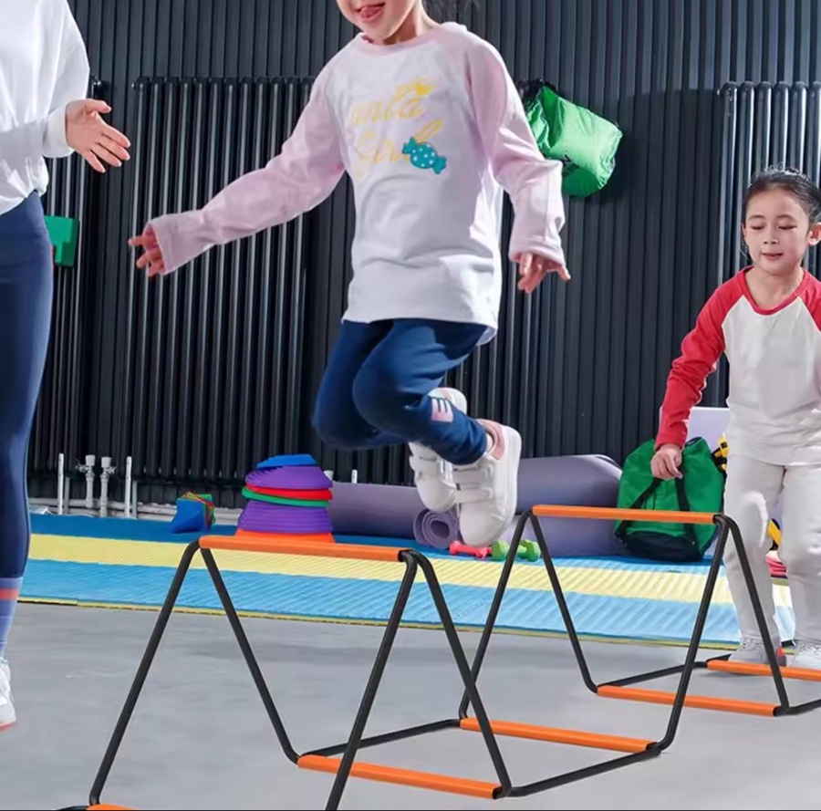Modular Agility Ladder and Hurdle Training Versatile Sports Obstacle and Speed Training Gear For World Cup Fans