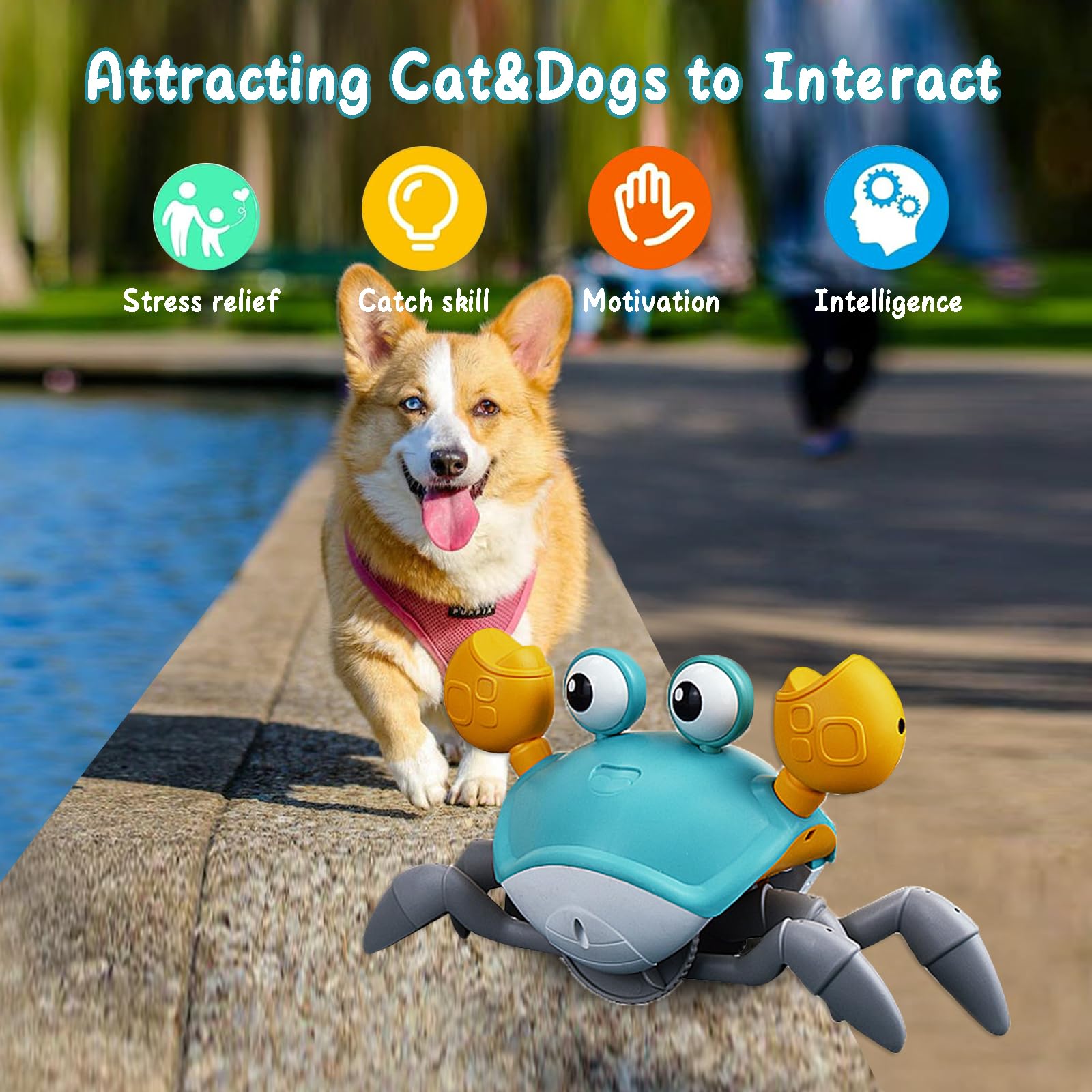 Interactive Crab Dog Toy – Escaping & Dancing Light-Up Pet Toy for Puppies and Small to Medium Dogs