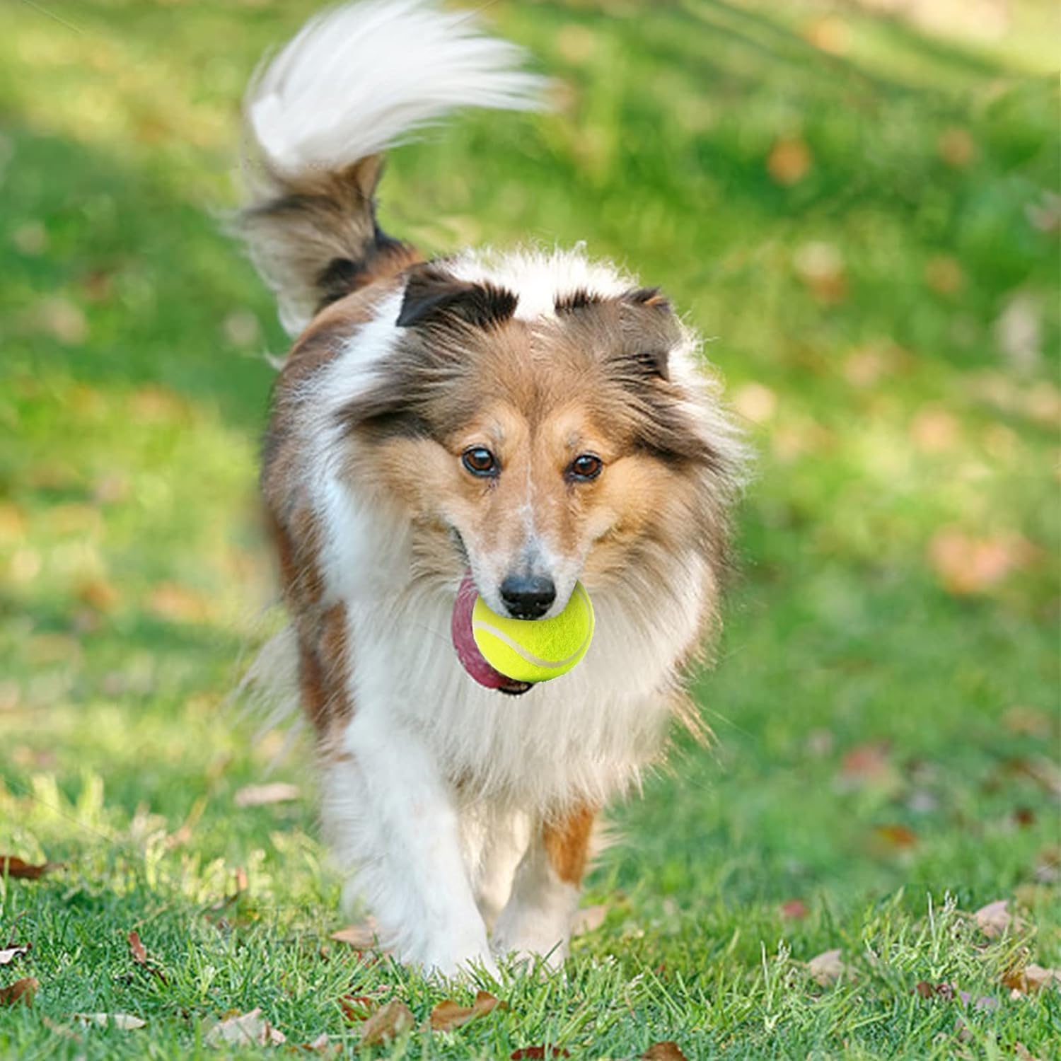 Automatic Dog Ball Launcher with 3 Adjustable Launch Distances (10-30Ft) – Interactive Fetch Toy for Small Dogs, Indoor & Outdoor, Includes 15 Mini Tennis Balls (2 inch)