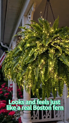 Artificial Boston fern with decorative lights shown on a porch