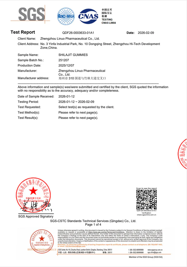SGS Test Report