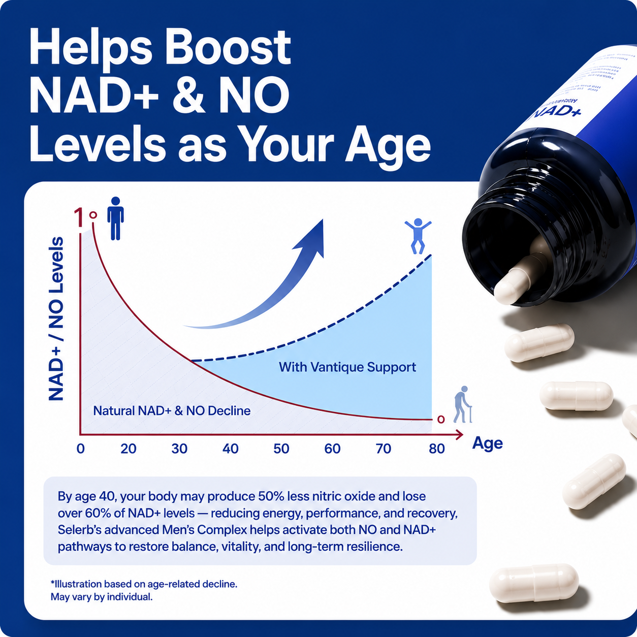 Helps boost NAD+ and NO levels as you age