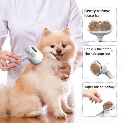 49% OFF🐶Pet Spray Hair Removal Comb & Pet Leave-In Cleaning Solution
