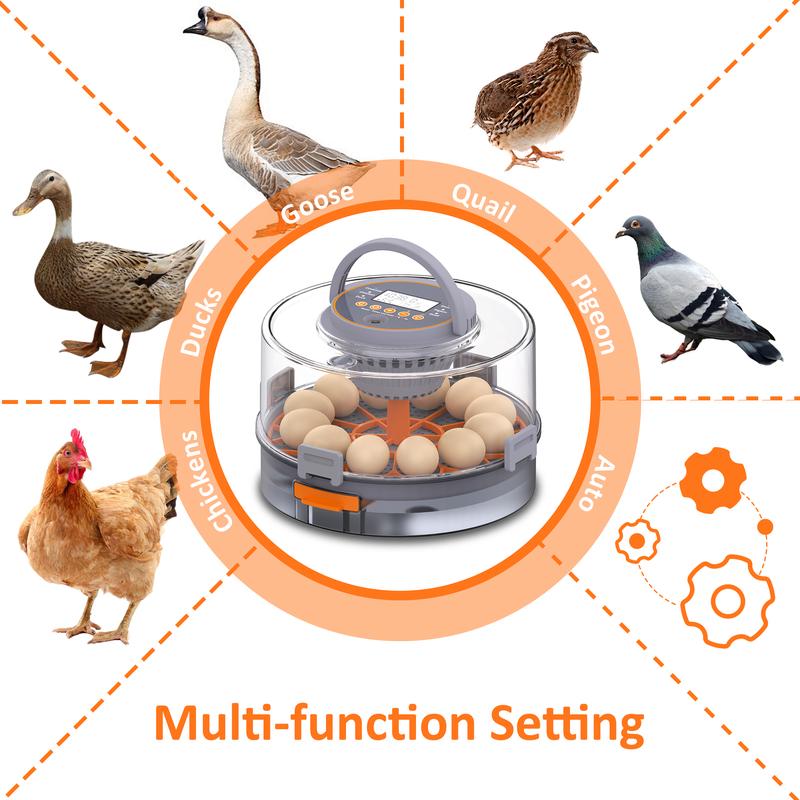 Incubadora automática para huevos de gallina (12-40 huevos) con volteo automático de 360°, pantalla digital y control automático de temperatura y humedad; ideal para la incubación de huevos de gallina, pato y codorniz, con alta tasa de eclosión — Incubado
