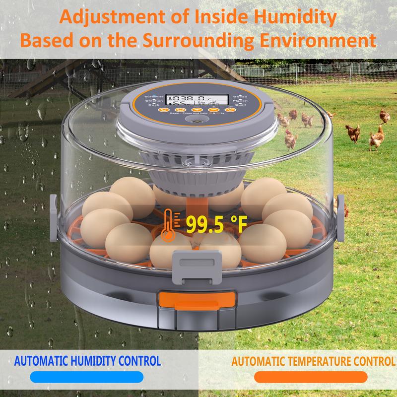 Incubadora automática para huevos de gallina (12-40 huevos) con volteo automático de 360°, pantalla digital y control automático de temperatura y humedad; ideal para la incubación de huevos de gallina, pato y codorniz, con alta tasa de eclosión — Incubado