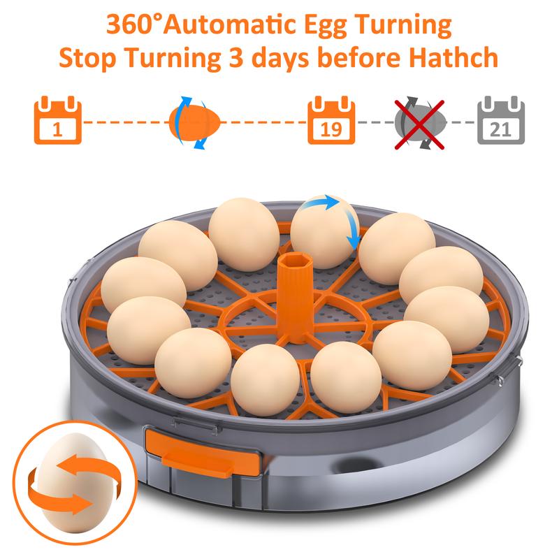 Incubadora automática para huevos de gallina (12-40 huevos) con volteo automático de 360°, pantalla digital y control automático de temperatura y humedad; ideal para la incubación de huevos de gallina, pato y codorniz, con alta tasa de eclosión — Incubado
