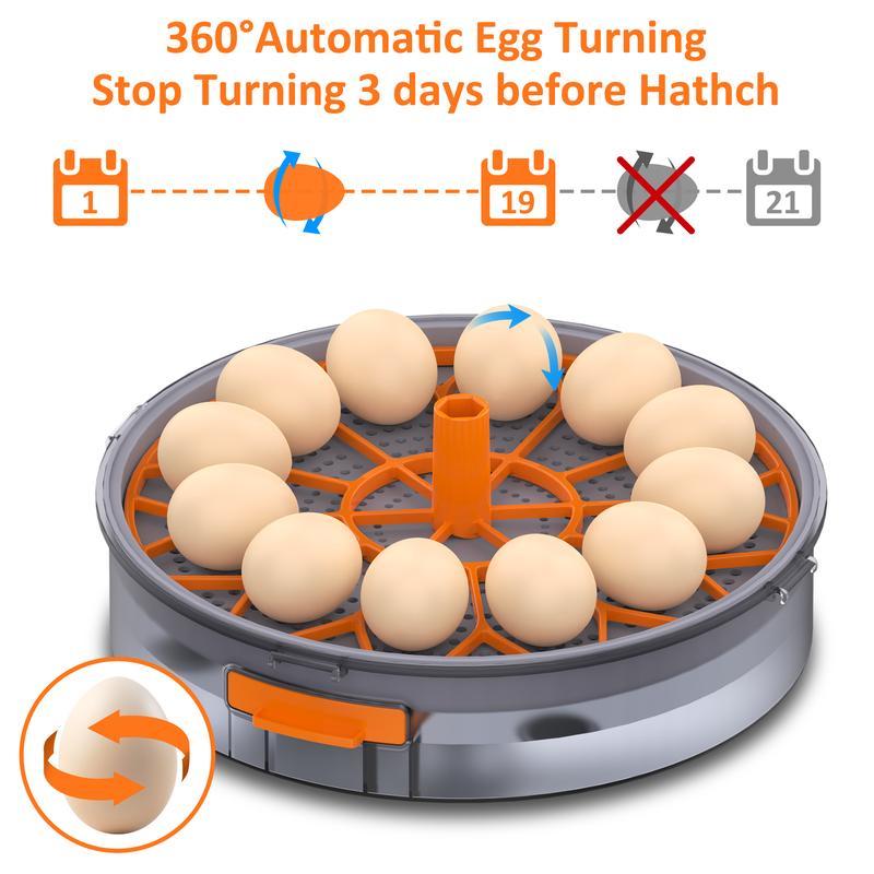 Incubadora automática para huevos de gallina (12-40 huevos) con volteo automático de 360°, pantalla digital y control automático de temperatura y humedad; ideal para la incubación de huevos de gallina, pato y codorniz, con alta tasa de eclosión — Incubado