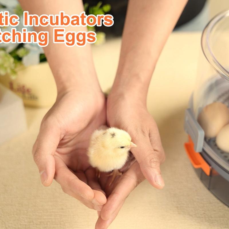 Incubadora automática para huevos de gallina (12-40 huevos) con volteo automático de 360°, pantalla digital y control automático de temperatura y humedad; ideal para la incubación de huevos de gallina, pato y codorniz, con alta tasa de eclosión — Incubado