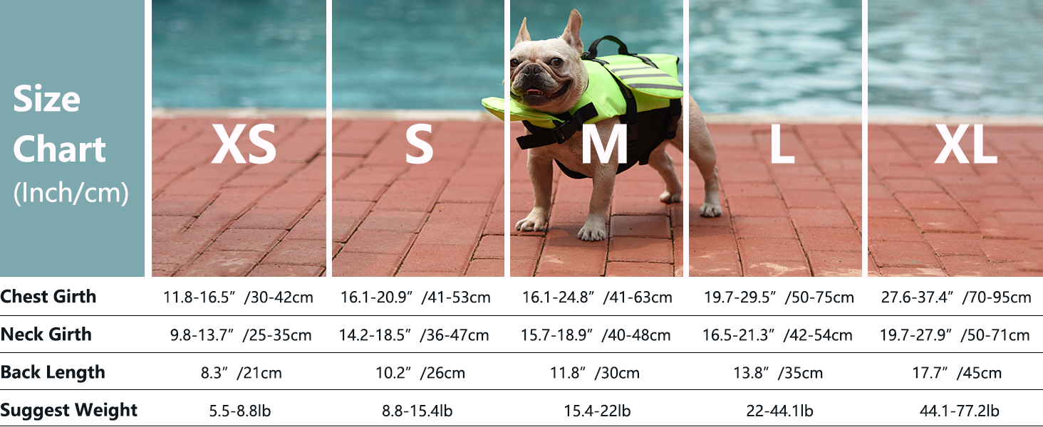 dog life vest
