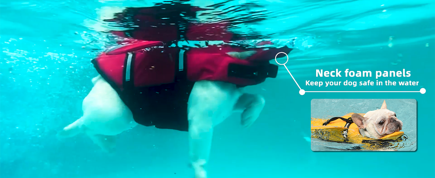 dog life vest