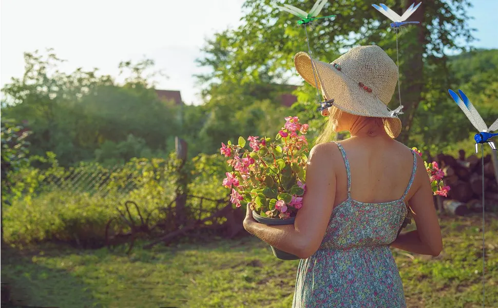 So the decoy Fake Dragonfly Clip can protect your garden plants flowers outside all kinds