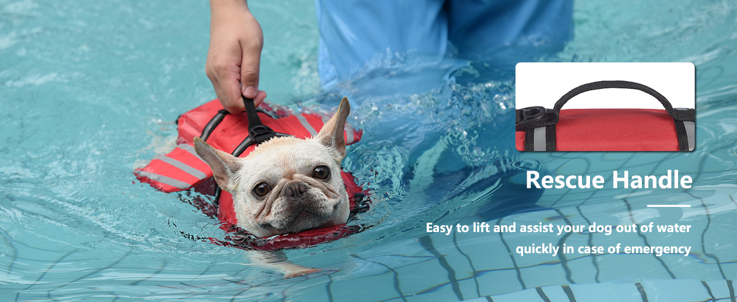 dog life jacket