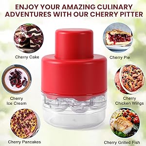 cherry pit core remover