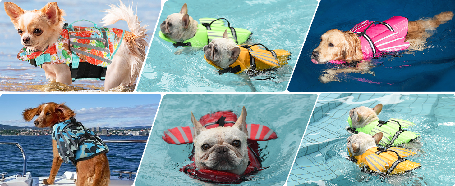 dog life jacket