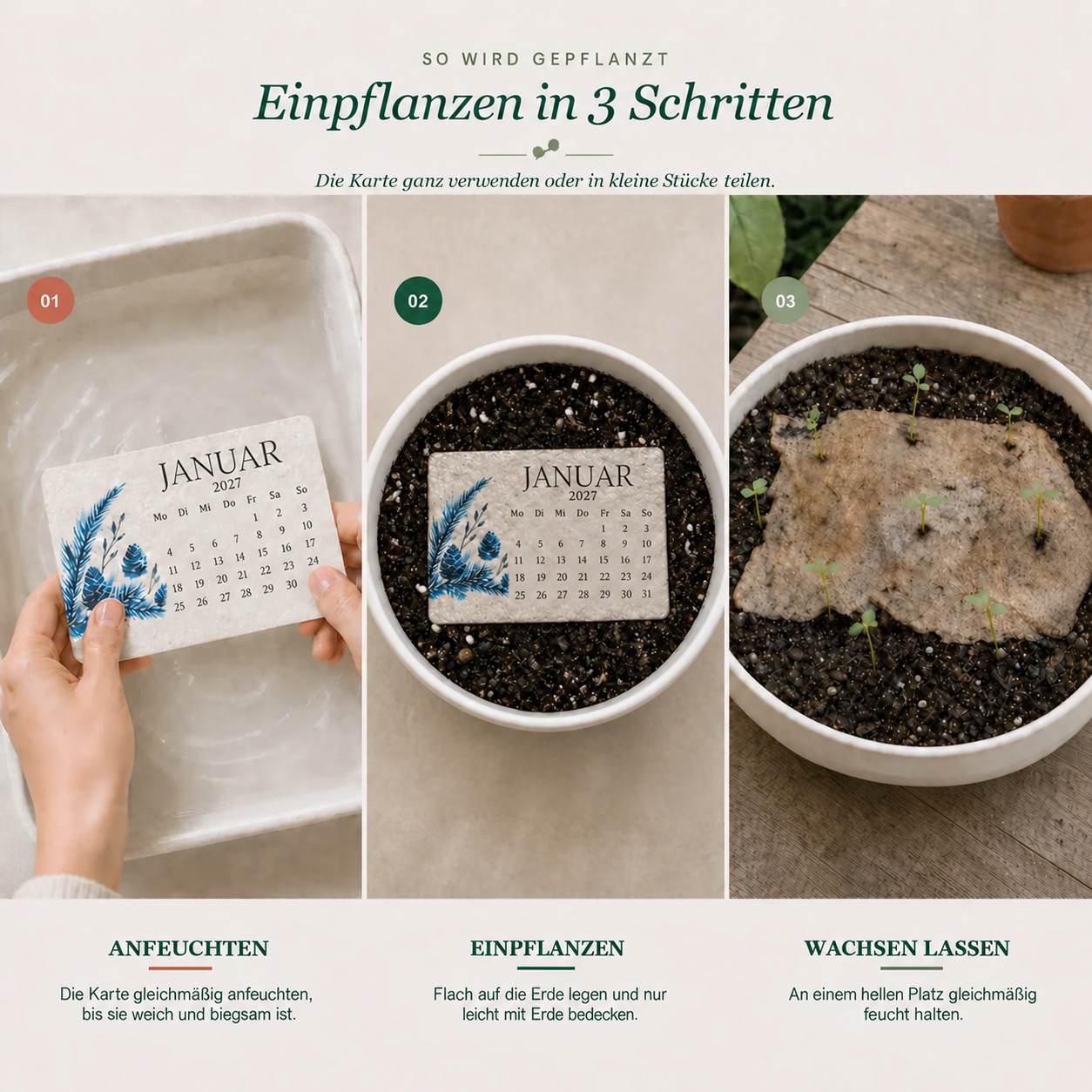 Saatkalender 2027 – Motivabbildung
