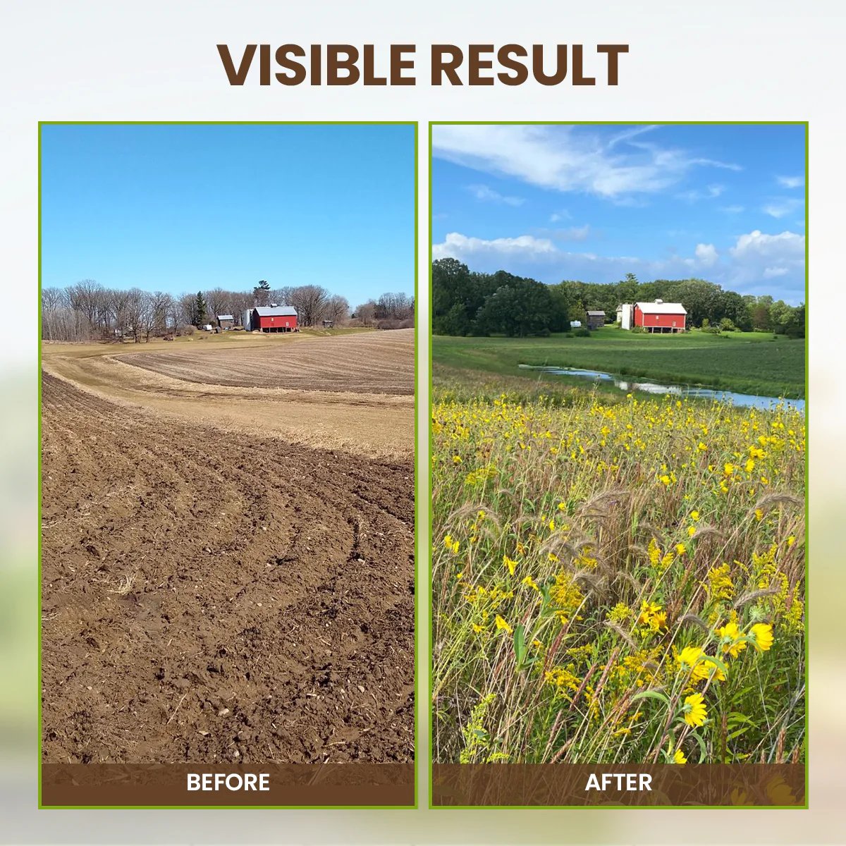 đ„Seasonal promotionđ„-Soil Pro Activator