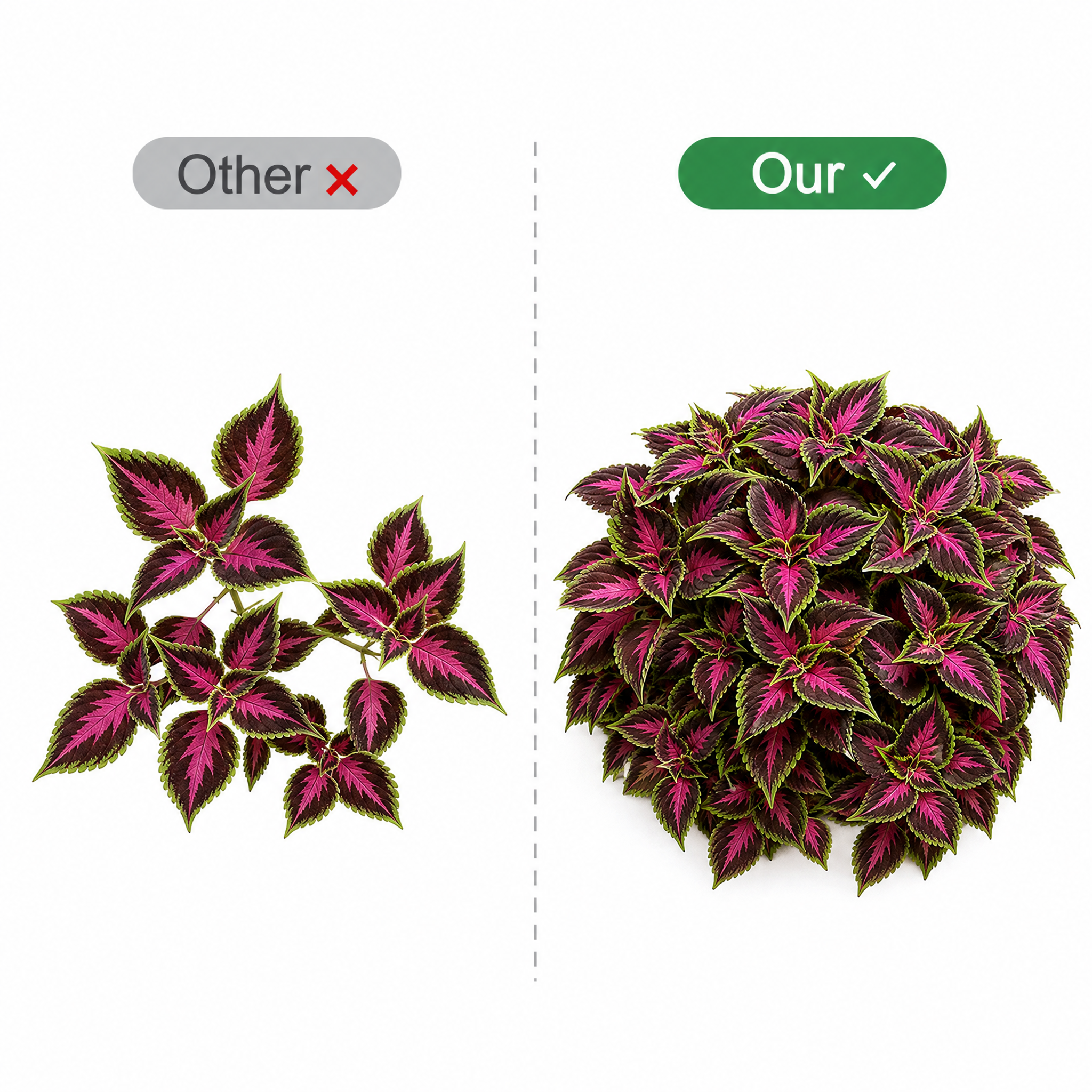 💥 BUY 1 GET 1 FREE (2 PCS)🔥 UV-Resistant Artificial Perilla Foliage – Beautiful, Full & Maintenance-Free!