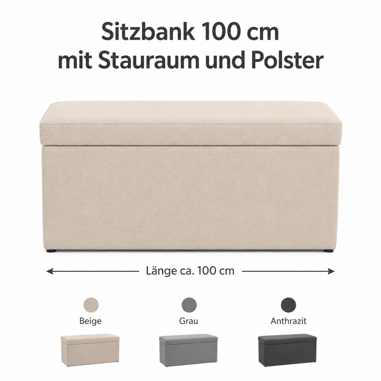 Sitzbank 100 cm mit Stauraum und Polster