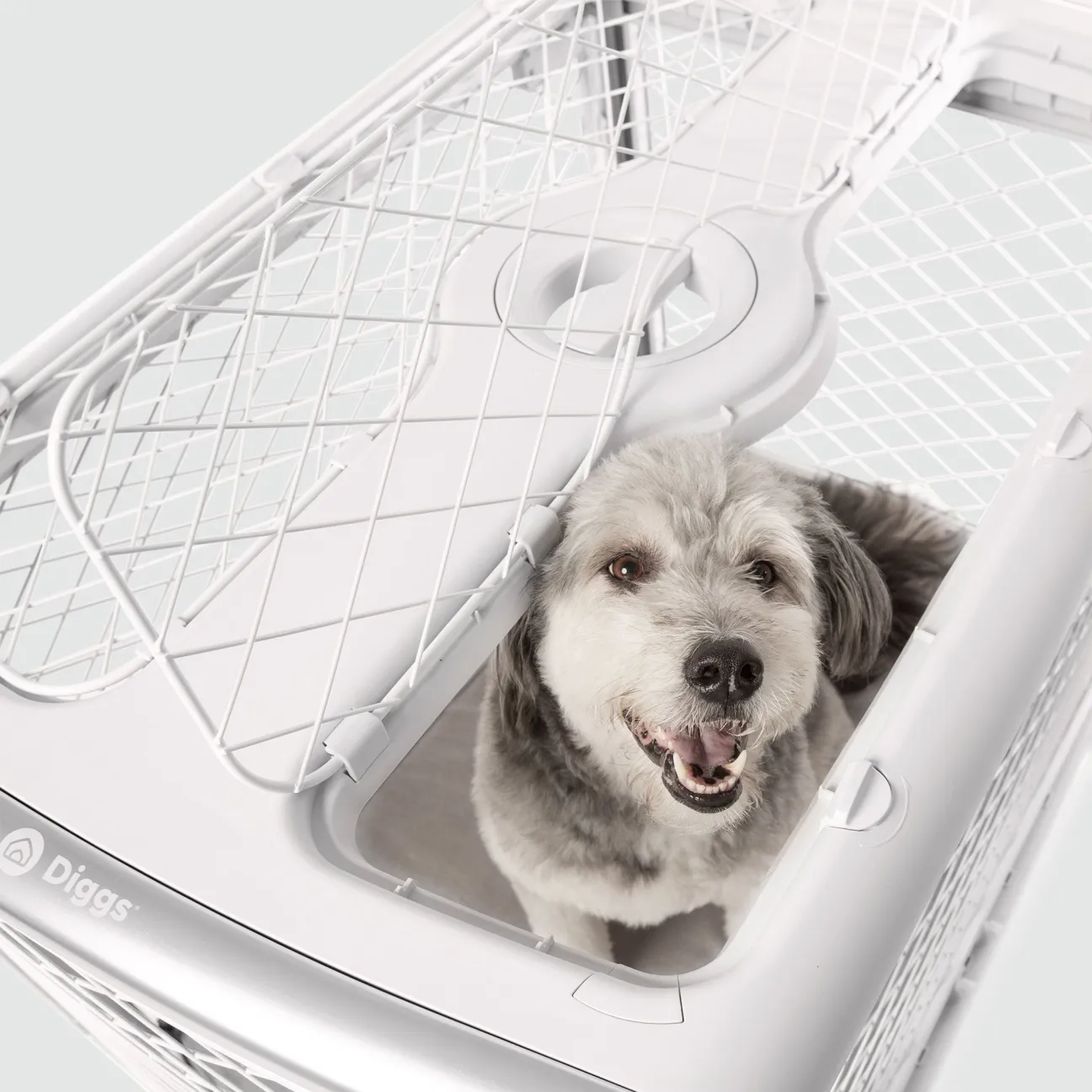 Collapsible Dog Crate with Wheels - Premium Portable Dog Crate - Safe, Stylish, and Convenient Indoor Kennel