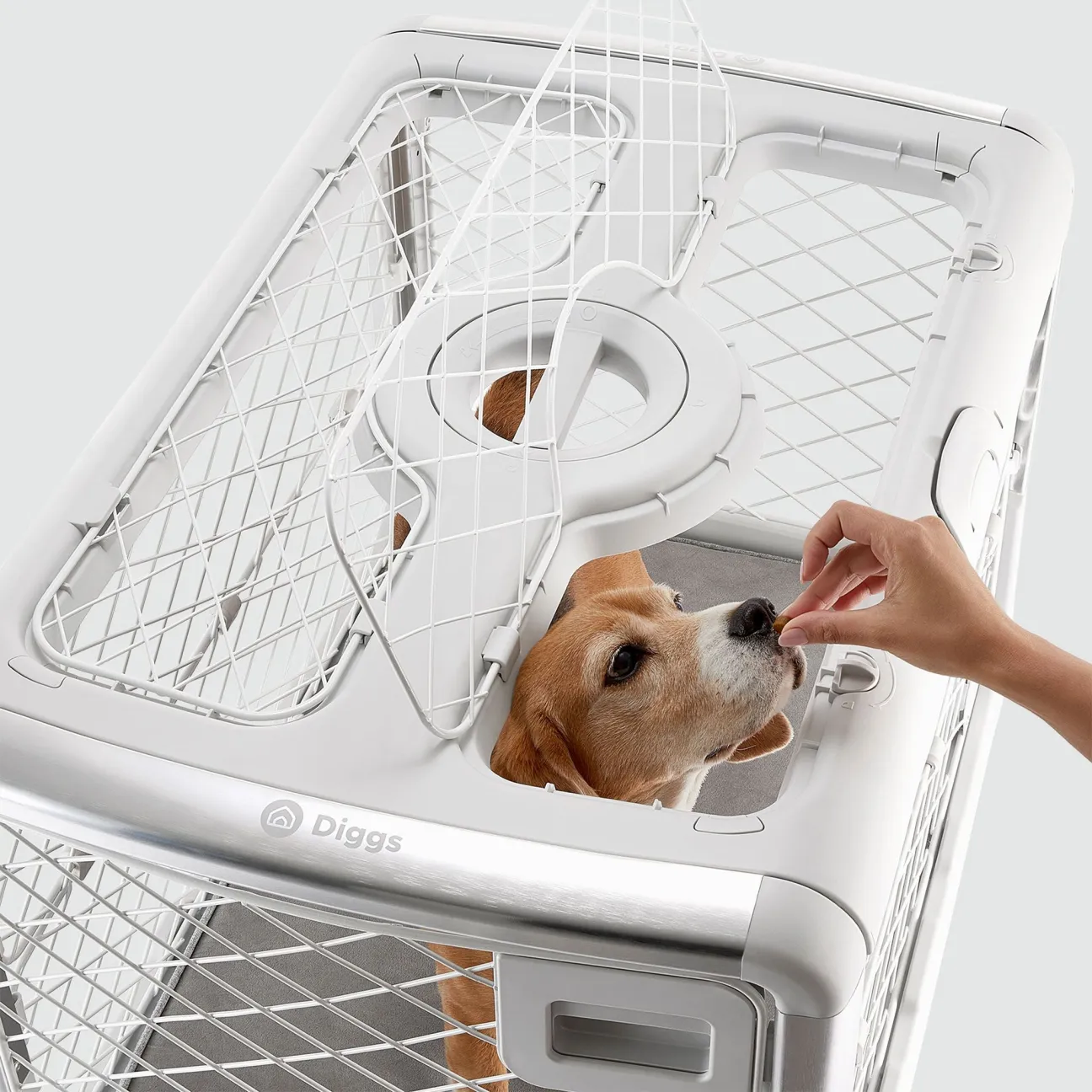 Collapsible Dog Crate with Wheels - Premium Portable Dog Crate - Safe, Stylish, and Convenient Indoor Kennel