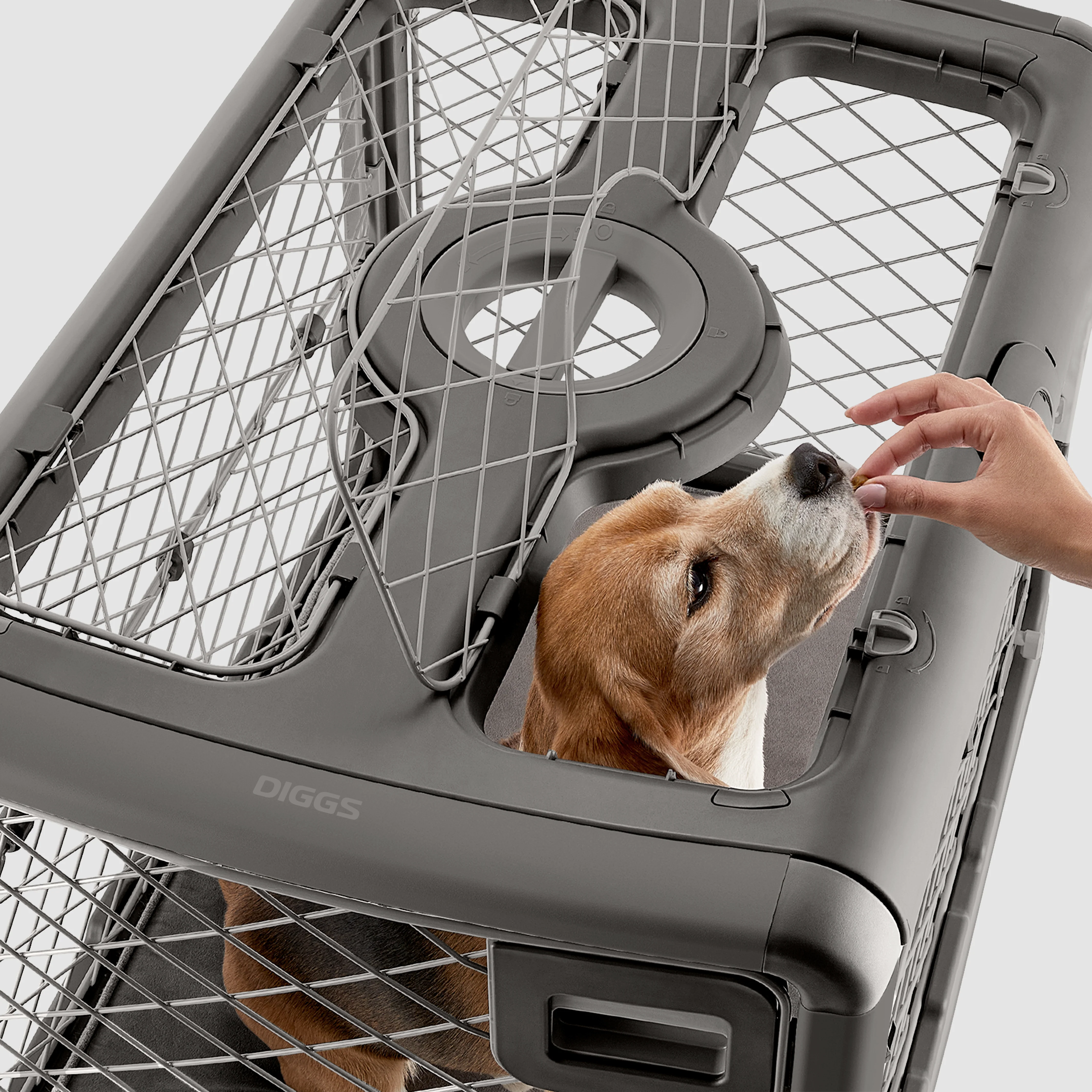 Collapsible Dog Crate with Wheels - Premium Portable Dog Crate - Safe, Stylish, and Convenient Indoor Kennel