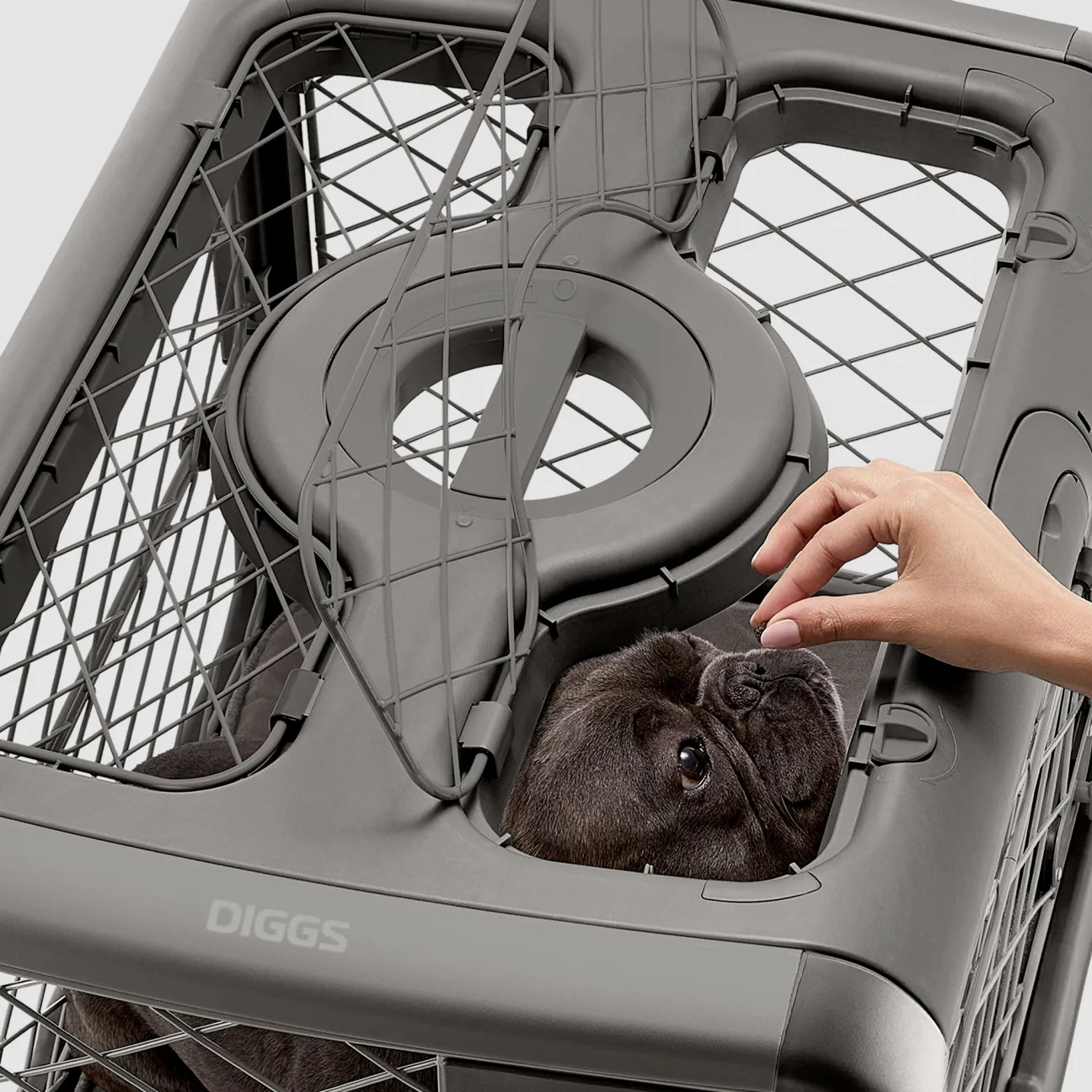 Collapsible Dog Crate with Wheels - Premium Portable Dog Crate - Safe, Stylish, and Convenient Indoor Kennel