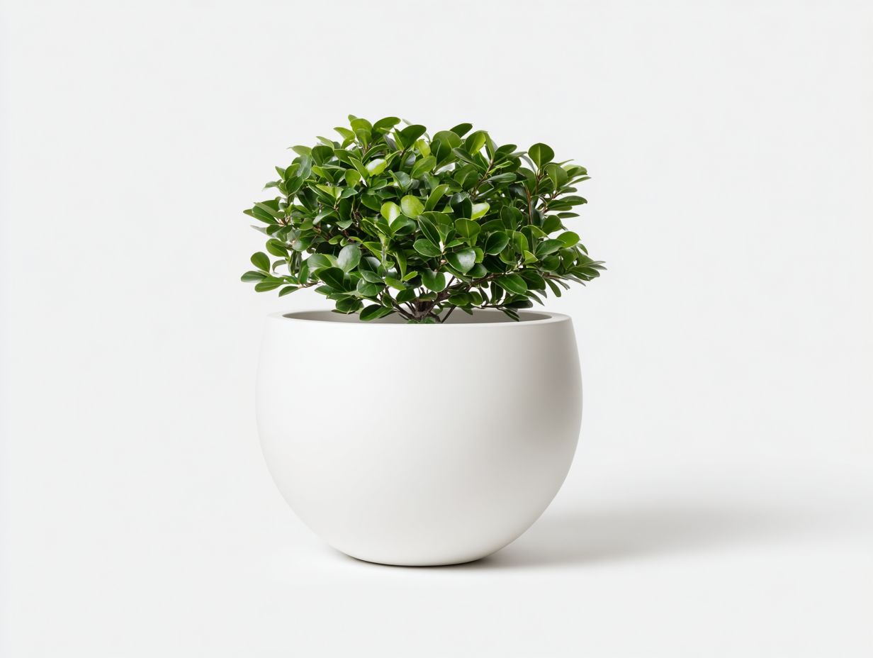 Vaso da fiori rotondo bianco 32x32x28 cm – bianco – per giardino – stile contemporaneo-Oakgohut