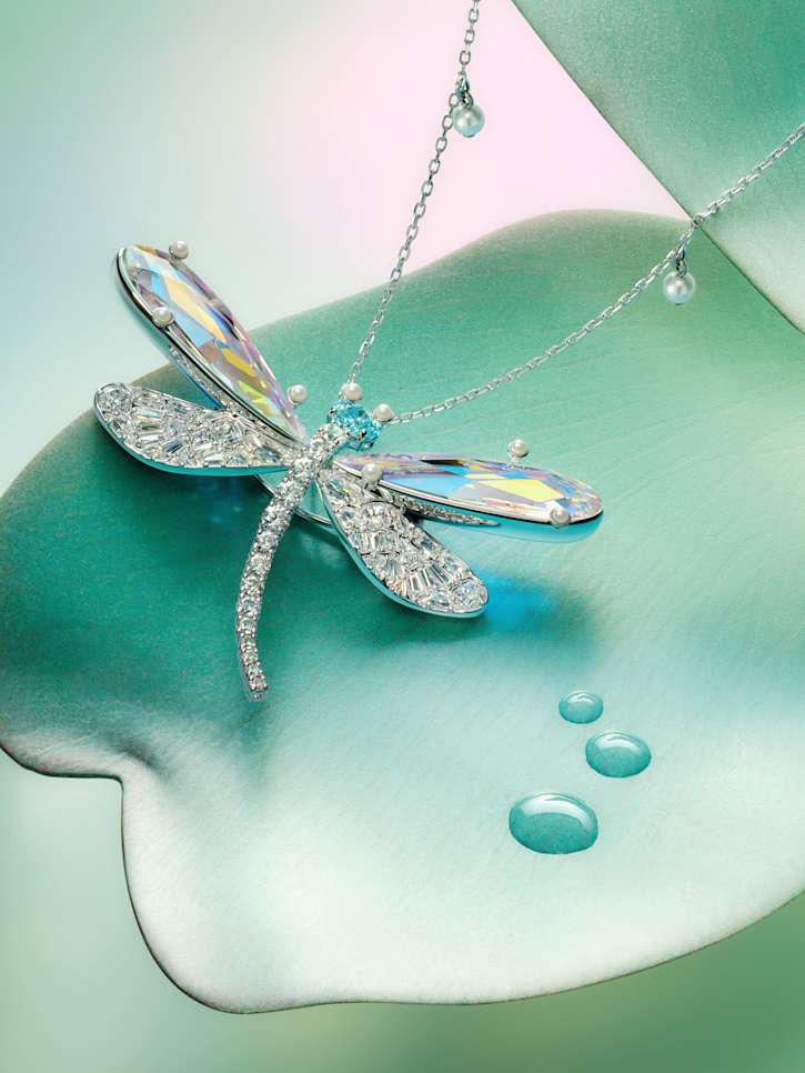 Dragonfly Fantasy