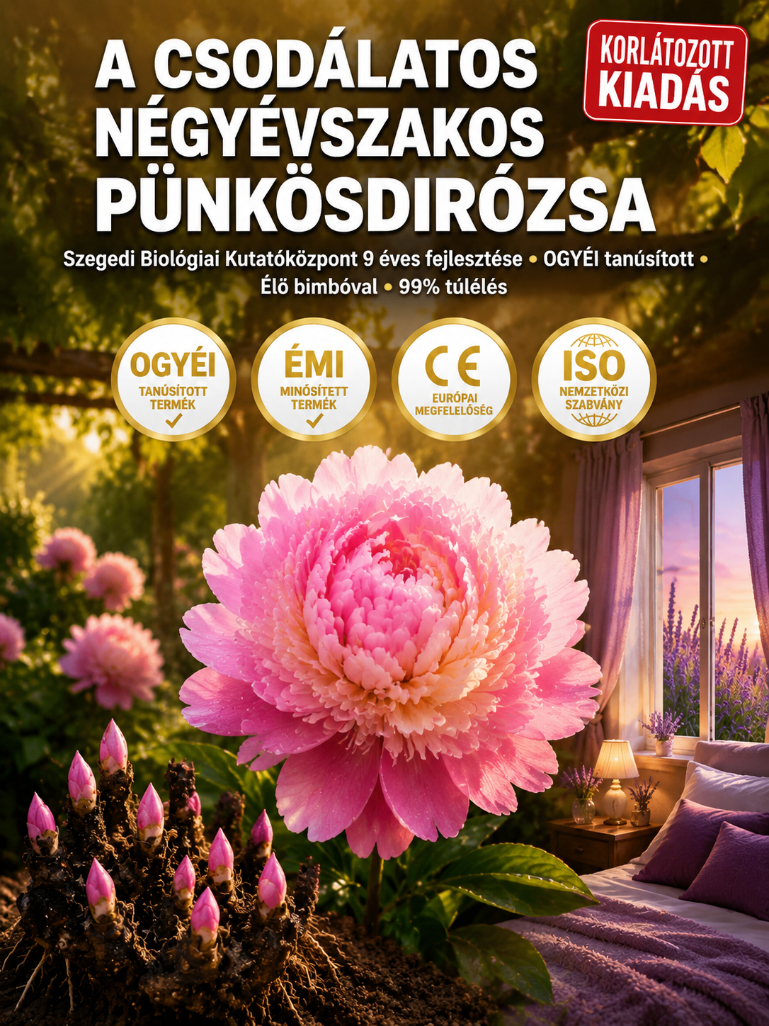 fce80da9-6477-482d-939c-6e5f5bcc3975.png
