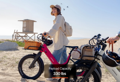 Carbon Joy Ultra E-Bike