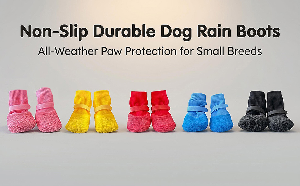 dog socks