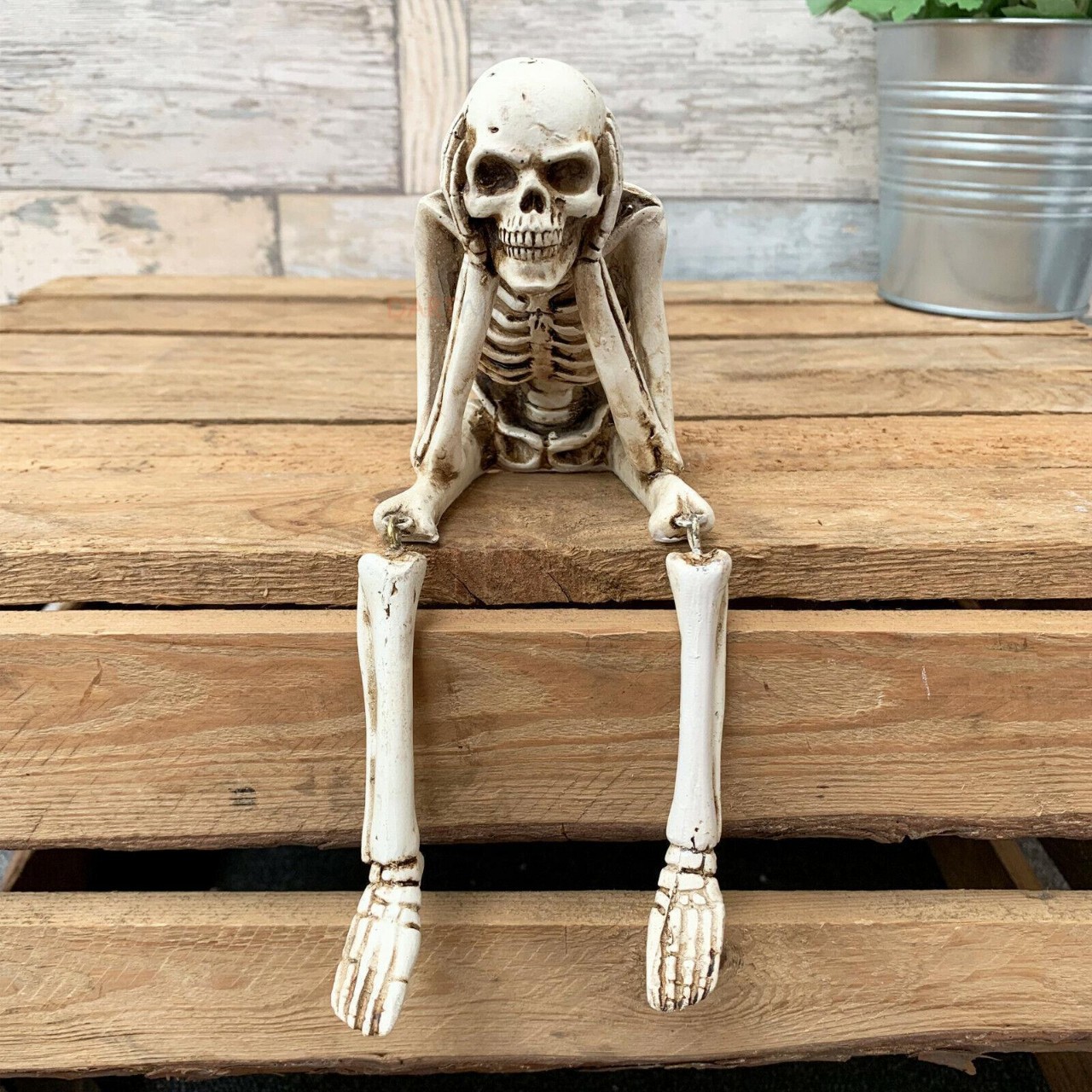 💀Skeleton Decoration Creative Skull Ornament