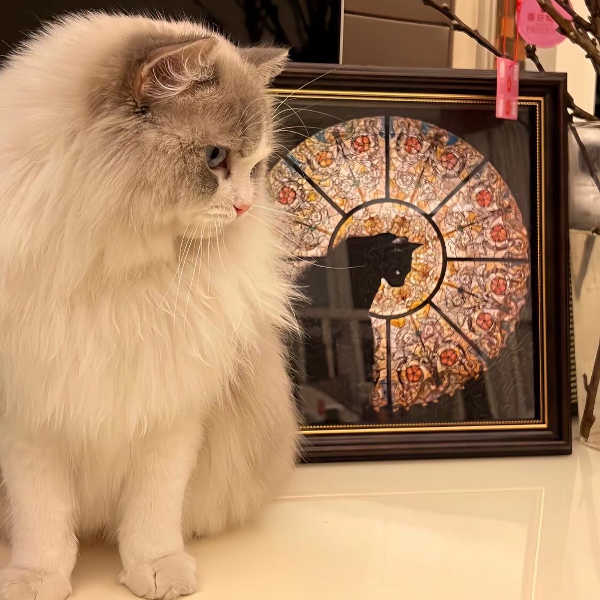 ✨Church Cat -276 Piece Wooden Jigsaw Puzzle🧩