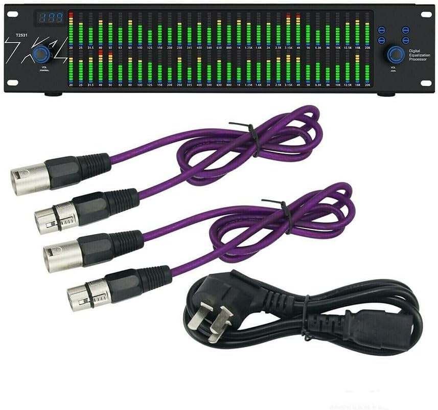 Ecualizador gráfico profesional T2531 - procesador de audio - doble espectro 31 bandas - equipo para sonido estéreo-Roomgoloft