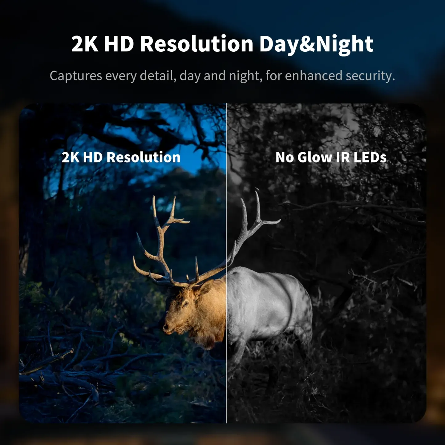 Cámara de seguridad solar inalámbrica 4G, visión nocturna a todo color 2K, vista de 360°, detección de humanos por IA, resistencia al agua IP65, sin necesidad de WiFi, requiere recarga de datos, montaje remoto incluido.