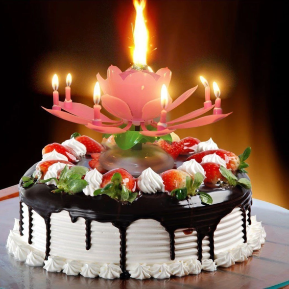 ⚡⚡Last Day Promotion 60% OFF - Magic Musical Flower Birthday Candle🔥🔥Buy 3 Get 3 Free(6 pcs)&Free Shipping
