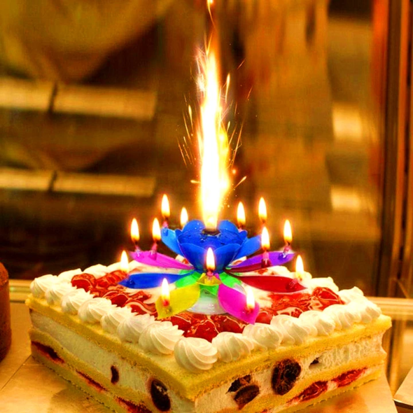 ⚡⚡Last Day Promotion 60% OFF - Magic Musical Flower Birthday Candle🔥🔥Buy 3 Get 3 Free(6 pcs)&Free Shipping