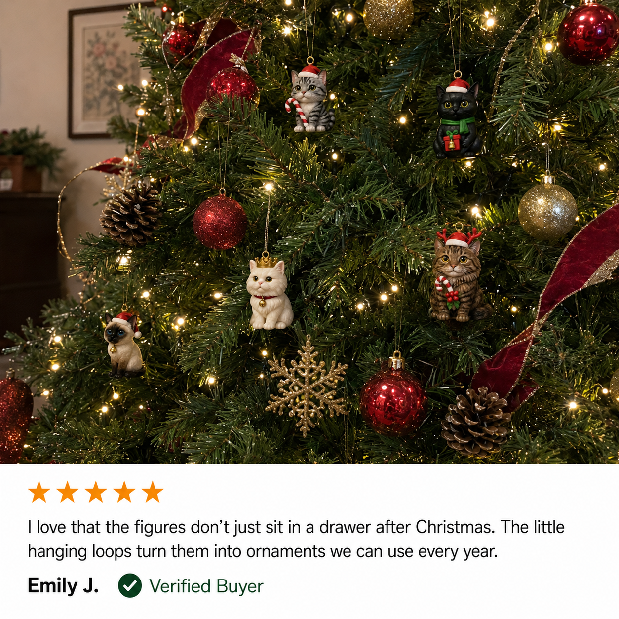 Customer review 3