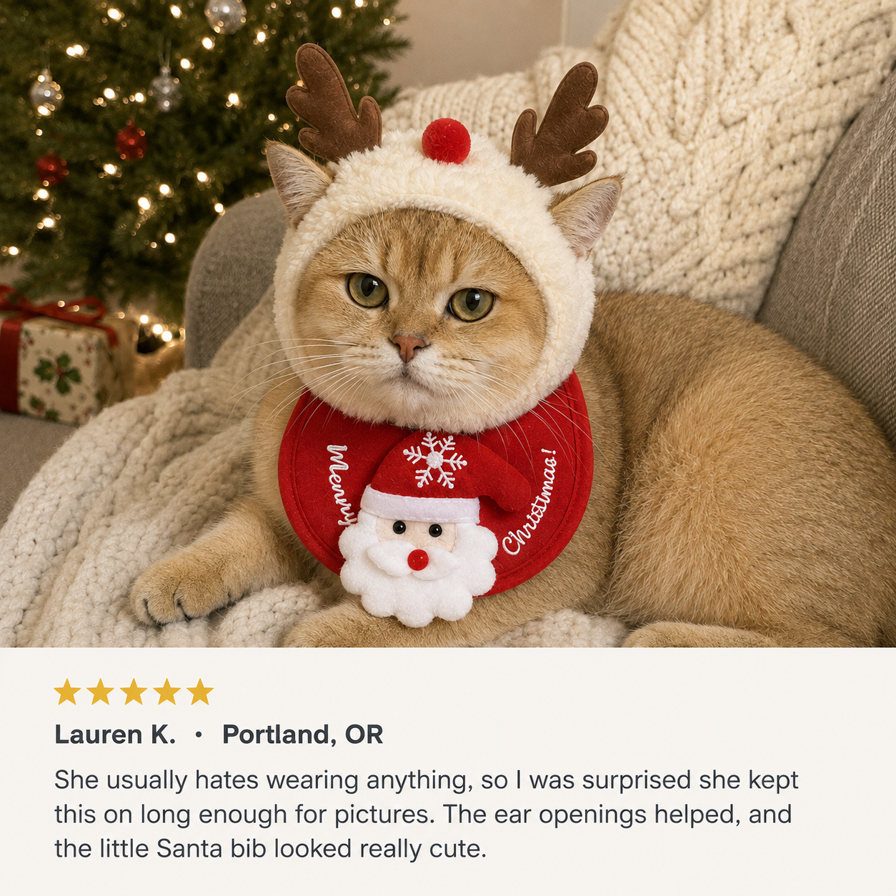 Customer review of the Christmas pet outfit