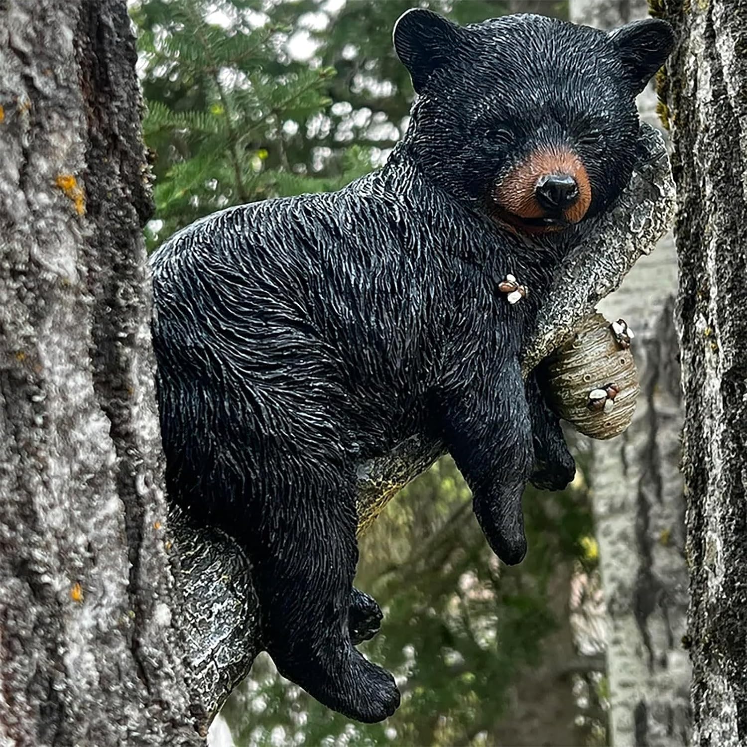 🐝Bee & Bear Cub Napping Out in a Tree🐻